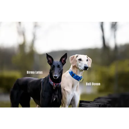 Obroża półzaciskowa ozdobna dla psa Bali Ocean 5 cm – ekskluzywna, niebieska obroża żakardowa z połyskiem